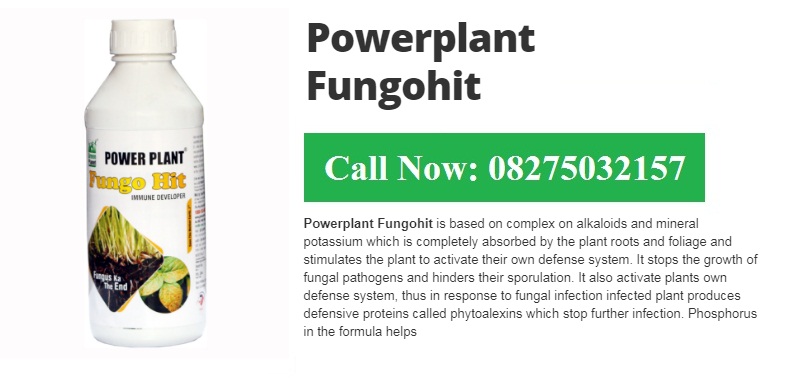 Green Planet Bio Products Nashik Mobile  shop Nashik